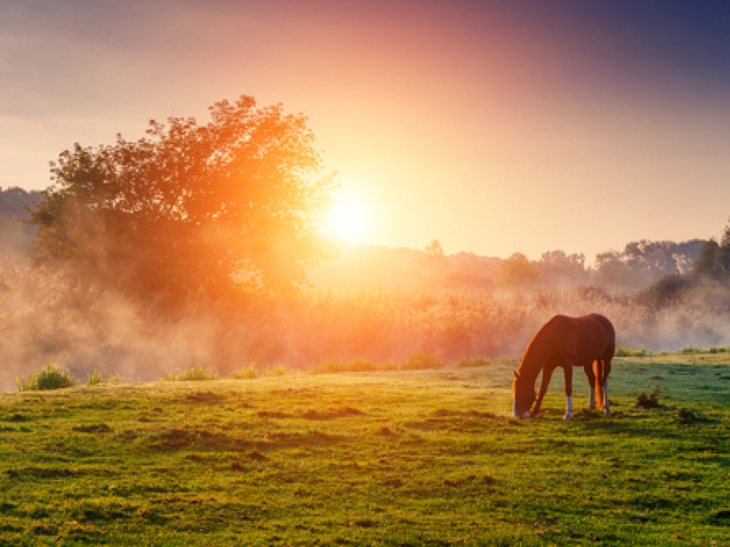 i-want-to-be-a-ranch-hand-ranching